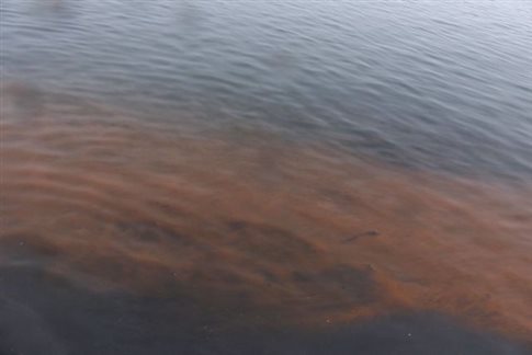 Γιατί βάφτηκαν κόκκινα τα νερά του Θερμαϊκού;