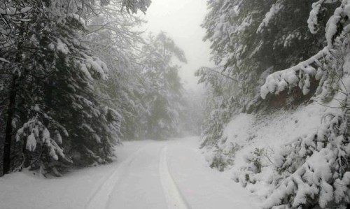 Πλησιάζει το πολικό ψύχος από τη Ρωσία, δείτε ποιές περιοχές θα πλήξει