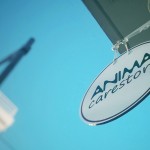 Χειροποίητες χριστουγεννιάτικες -και όχι μόνο- δημιουργίες από το AnimaCare Store για καλό σκοπό