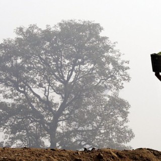 Ινδία: Τοπίο στην ομίχλη