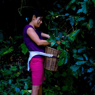Χρειάζομαι ένα καφέ!