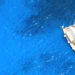 Οpenichnos: Πρώτη θέση για την κρητική start up στο Bluegrowth