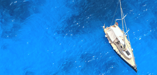 Οpenichnos: Πρώτη θέση για την κρητική start up στο Bluegrowth