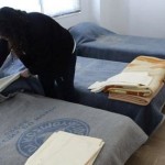 Ανοικτοί από σήμερα δύο θερμαινόμενοι χώροι του δήμου Αθηναίων για τους άστεγους