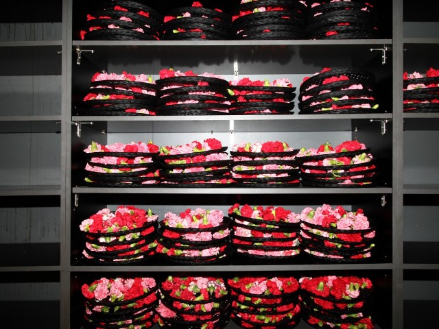 «Απόγευμα; Εδώ μέσα είναι πάντα νύχτα»