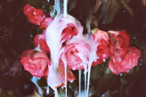 Ο erotica Ντόναλντ Τραμπ εκτίθεται…