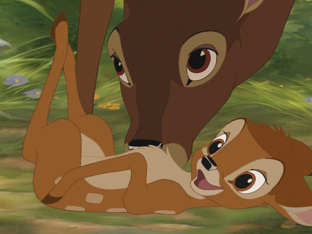 O Μπάμπι το Ελαφάκι «έμεινε ορφανό»