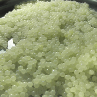 Σαλονικιό λευκό χαβιάρι από… σαλιγκάρια