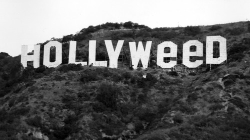 Συνελήφθη ο «καλλιτέχνης» του «Hollyweed»