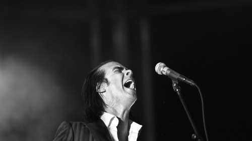 Nick Cave ποια είναι τα σχέδιά σου για την πανδημία του κορονοϊού; Πώς θα γεμίσεις το χρόνο σου;