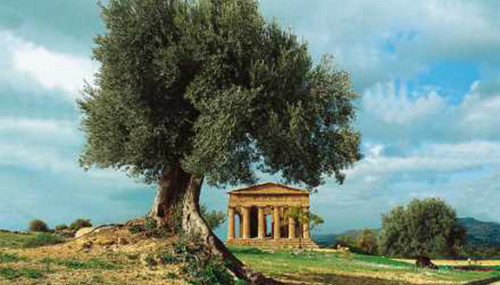 Ένας Σικελός καλεί τον οίκο Gucci στους αρχαιοελληνικούς ναούς του Ακράγαντα