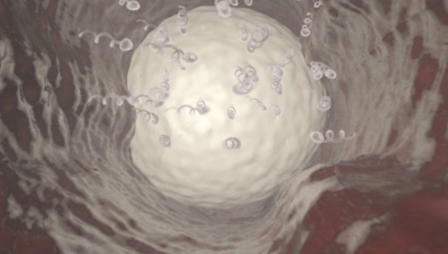 Ένα βήμα πιο κοντά στο ανδρικό αντισυλληπτικό