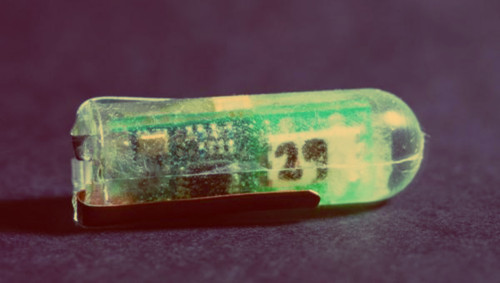 Εσείς θα καταπίνατε συσκευή για να κάνετε το στομάχι σας μπαταρία;