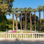 Θα αναγεννηθεί ο Εθνικός Κήπος;