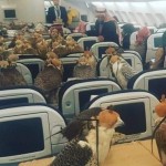 Σαουδάραβας πρίγκιπας πλήρωσε 80 αεροπορικά εισιτήρια για να ταξιδέψουν τα γεράκια του