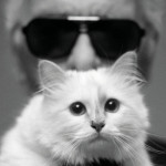 Η Choupette του Καρλ Λάγκερφελντ θα κυκλοφορήσει σε λούτρινο ζωάκι