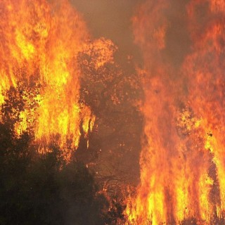 Έρευνα για εμπρησμό στα Κύθηρα