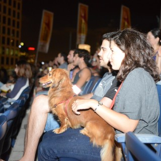 «Ντίτζι Ντογκ»: Η πρώτη ψηφιακή υπηρεσία για σκύλους από την πόλη του Τελ Αβίβ