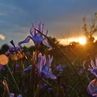 Μαγευτικό ηλιοβασίλεμα στο Ναύπλιο