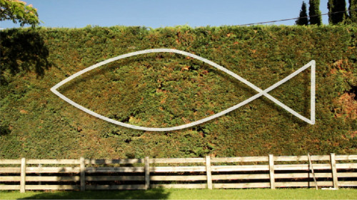 Οι ταινίες του Φεστιβάλ Ντοκιμαντέρ Θεσσαλονίκης δωρεάν και online