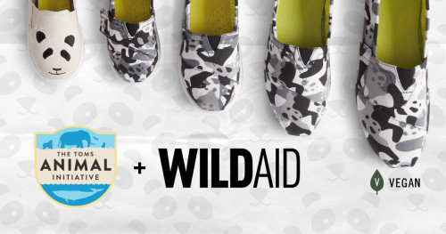 Δείτε τη νέα χαριτωμένη συλλογή υποδημάτων Panda Pals της TOMS