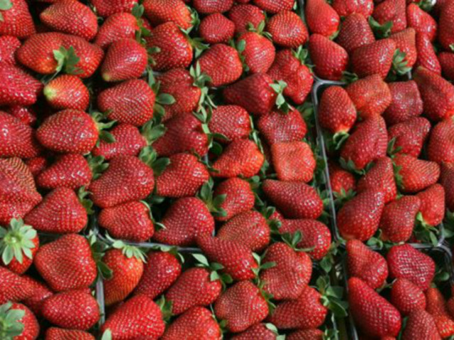 Καταδίκη της Ελλάδας από το Ευρωπαϊκό Δικαστήριο για τη Μανωλάδα