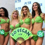 Κούβα: Μοντέλα σε μπικίνι από φύλλα μαρουλιού ενημερώνουν για τα οφέλη της χορτοφαγίας