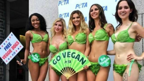 Κούβα: Μοντέλα σε μπικίνι από φύλλα μαρουλιού ενημερώνουν για τα οφέλη της χορτοφαγίας