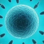 Δυνατή η εγκυμοσύνη σε γυναίκες με πρόωρη εμμηνόπαυση