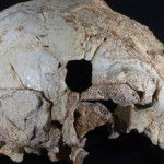 Πορτογαλία: Ανακαλύφθηκε «Νέαντερταλ» κρανίο 400.000 ετών