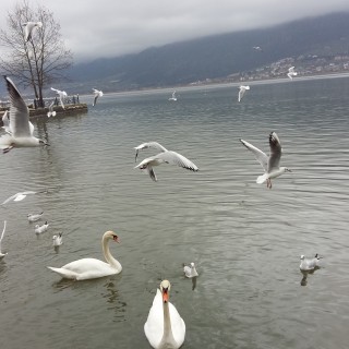 Χειμωνιάτικο το τοπίο στα Ιωάννινα