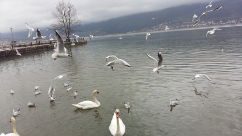 Χειμωνιάτικο το τοπίο στα Ιωάννινα