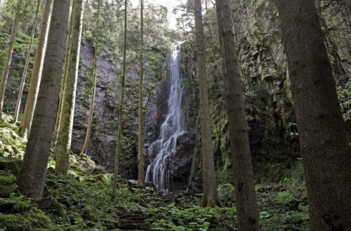 Τι ανακάλυψαν ερευνητές μέσα στα πλαστικά μπουκαλάκια νερό