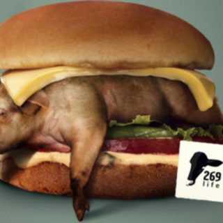 Το 269 Life μας εξηγεί γιατί τα ζώα καταπιέζονται περισσότερο από οποιαδήποτε ανθρώπινη ομάδα