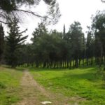 Στα 620.000 ευρώ η προστασία και αναβάθμιση του άλσους Νέας Φιλαδέλφειας