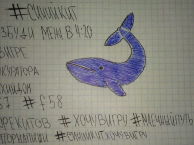 «Blue whale»: το παιχνίδι αυτοκτονίας που έχει σαρώσει το διαδίκτυο