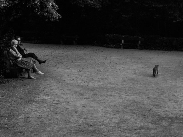 Πώς Έμοιαζε η Αθήνα της Δεκαετίας του ’80 Μέσα από τα Πρόσωπα των Γυναικών;