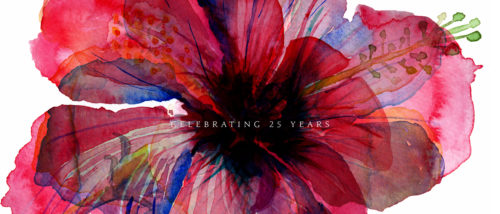 Το Sani Festival 2017 έρχεται στην Χαλκιδική