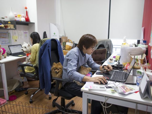 Σκυλίσια ζωή και στη δουλειά