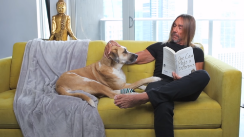 Iggy Pop και Nick Cave ενώνουν τις δυνάμεις τους για την PETA (ΒΙΝΤΕΟ)
