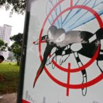 Γιατί τα κουνούπια τσιμπούν εσένα περισσότερο από τους άλλους;