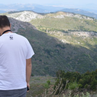 Πάρνηθα: 10 χρόνια μετά την καταστροφή, τη νιώθουμε ν’ αναπνέει ξανά