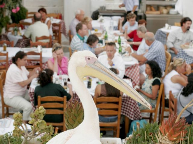 «…την πεφιλημένην νήσον, την εξαιρετικώς ανεμόβλητον εκ πασών των Κυκλάδων»