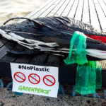 Ένα δελφίνι από …πλαστικά «ξέβρασε» η θάλασσα στην παραλία της πόλης.