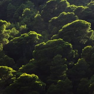 Όταν η ψυχανάλυση γράφεται αλλιώς