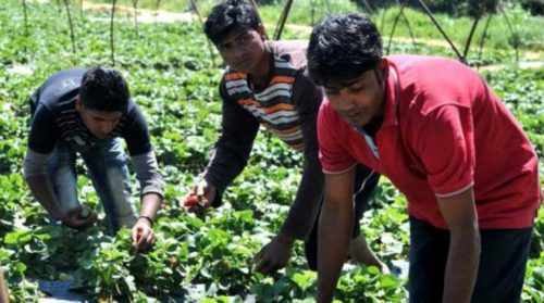 Ανακλήθηκε η αίτηση της Ελλάδας για επανεξέταση της υπόθεσης της Μανωλάδας