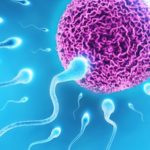 Η χαμηλή παραγωγή σπέρματος από τους άνδρες μπορεί να οδηγήσει στον αφανισμό μας