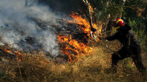 Πυρκαγιά στο Κρυονέρι Αττικής