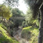 Νεκροί δύο νεαροί στην Κομοτηνή