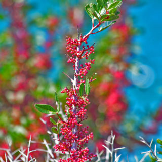 Την Τρίτη υποδεχόμαστε επίσημα την άνοιξη με την εαρινή ισημερία